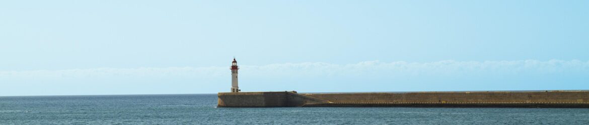 ゼロから始める釣り教室